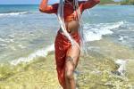 SUMMER PLAYA 2024