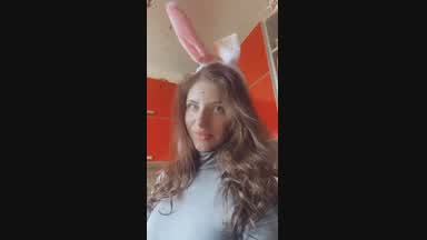 bunny