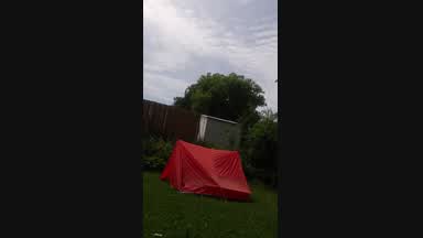 Back yard fun..