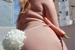 paques, petit lapin