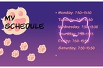 my schedule