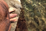 rod80 โ Naked at the sea
