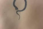 my tattos