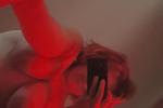 red photo shoot