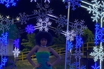 Merry Christmas from maruu