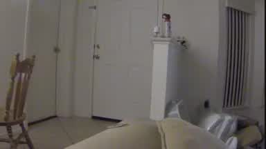 Pizza guy shoots cum on me