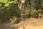 Outdoor fun