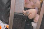 NSFW