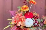 erikafanks — autumn bouquet