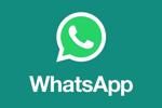 WHATSAPP 📲