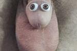 Cute Cock Guy!