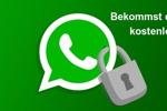 WhatsApp - 3 Months