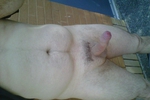 Cock