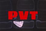 pvt