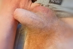 gingerdaddy โ Small GingerDick