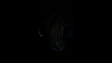 lexiibbie live Chaturbate webcam gallery thumbnail