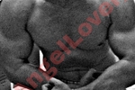 _AngelLover_