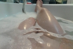 amy