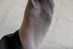 Dirty socks