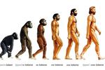 evolution