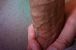 FREE DICK PICS