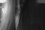 thesamara live Chaturbate webcam gallery thumbnail