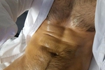 zaskar888 — ....