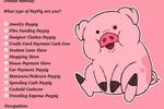 paypig application