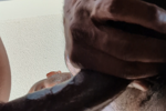 daddy gives heavy cock