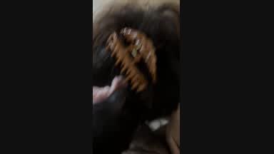 My tgirl Mira sucks my cock deep POV