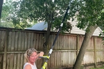 Ryobi Pole Saw