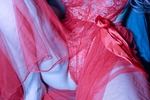 Red Collection