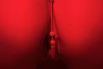 RedLight