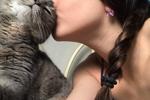 My cat Alaska