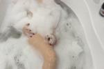 in the Jacuzzi