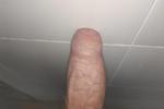Huge Hard Hammer Cock