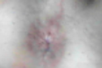 snoro โ 67.6.2