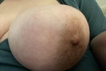 Nudes #1