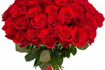 send me flowers:)