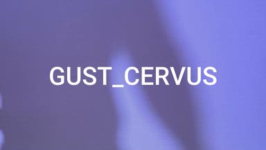 gust cervus โ Get to know me a little better.