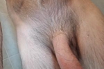 Me
