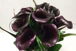 Present me please my favorite flowers)))