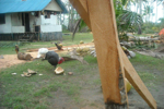 my house:)