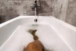 shower time