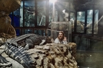 Hi Crocodile 🐊