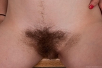 hairy pussy