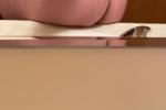BUM