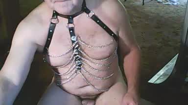 chain harness