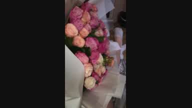 a gift for Sofia❤
