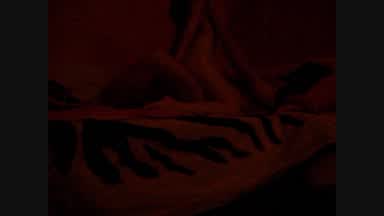Long action to cum